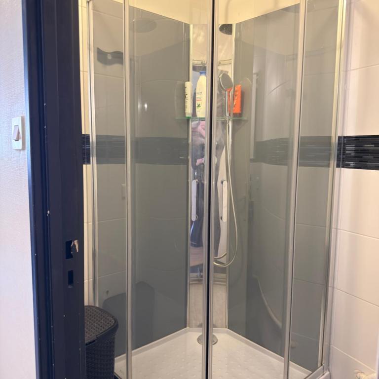 GRAND STUDIO proche du centre ville - Appartamento con 1 Camera da Letto - 16