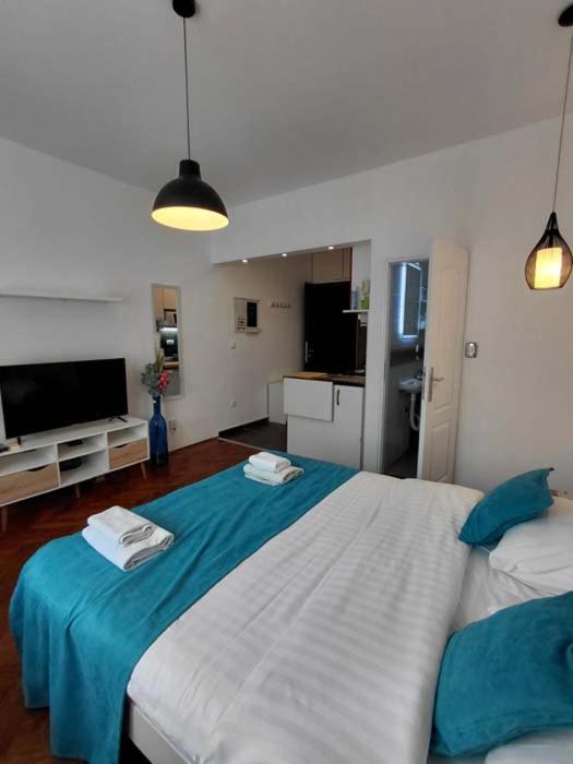 Trg Sava studio - One-Bedroom Apartment - 12