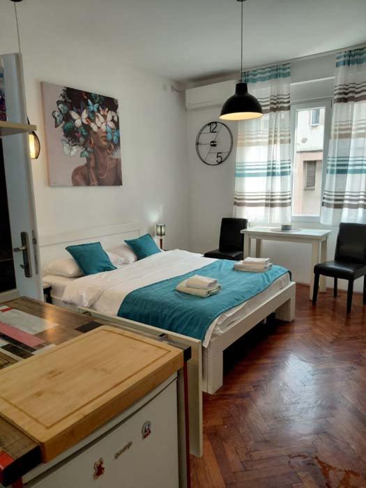 Trg Sava studio - One-Bedroom Apartment - 15
