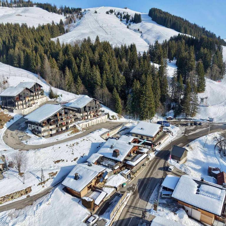 Appartement 2 pièces avec balcon et casier à skis - FR-1-505-207 - Apartment - 18