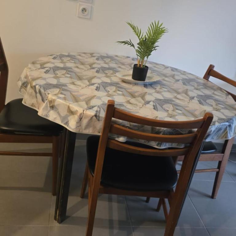 Magnifiques T2 calme ensoleillée - Apartamento de 1 dormitorio - 17
