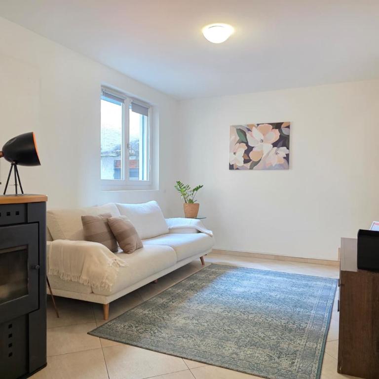 Borgo di Ascona Apartment - Appartamento con 2 Camere da Letto - 17