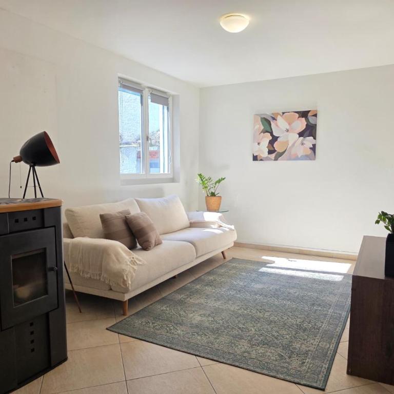 Borgo di Ascona Apartment - Appartamento con 2 Camere da Letto - 32