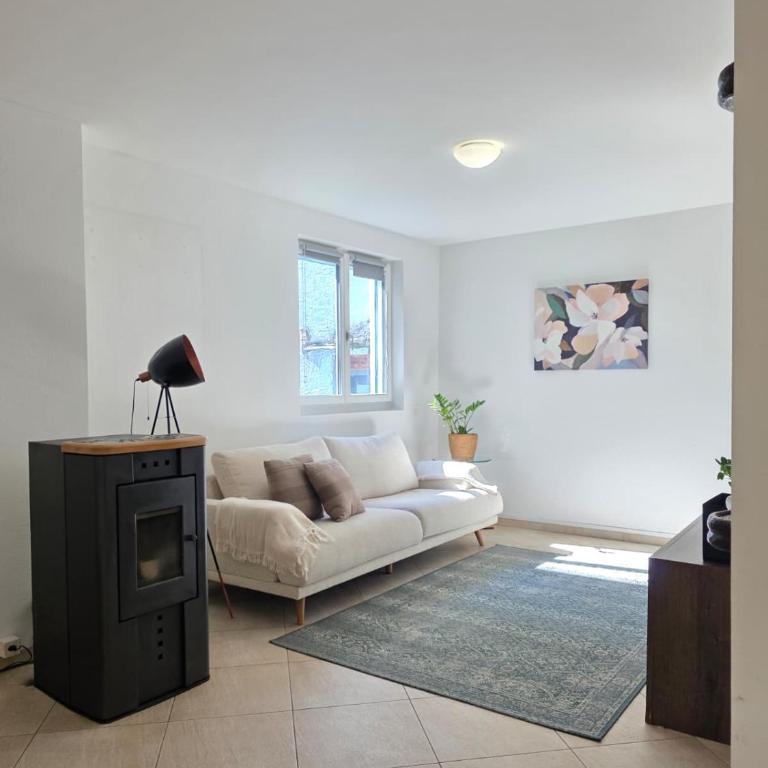 Borgo di Ascona Apartment - Appartamento con 2 Camere da Letto - 28