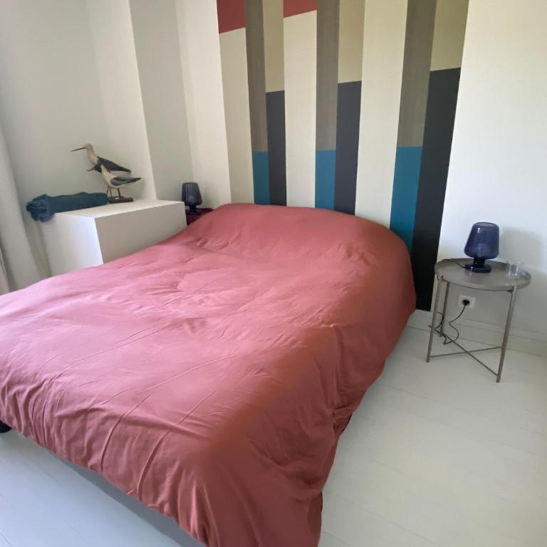 Maison colorée a la rochelle avec Piscine - Villa 1 Chambre - 4