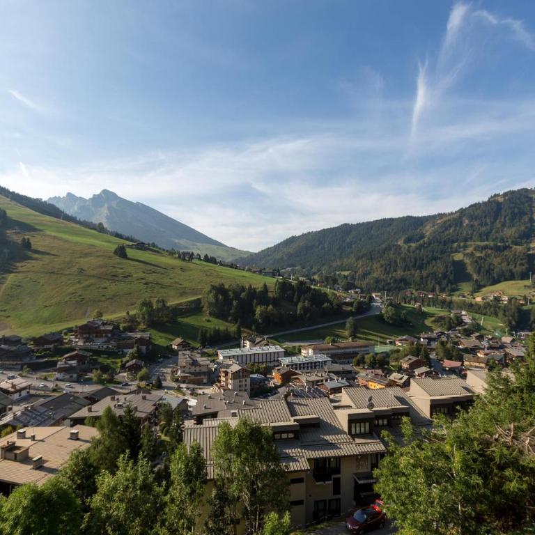 Joli studio à La Clusaz, proche de l'espace aquatique - FR-1-437-8 - Estudio - 14