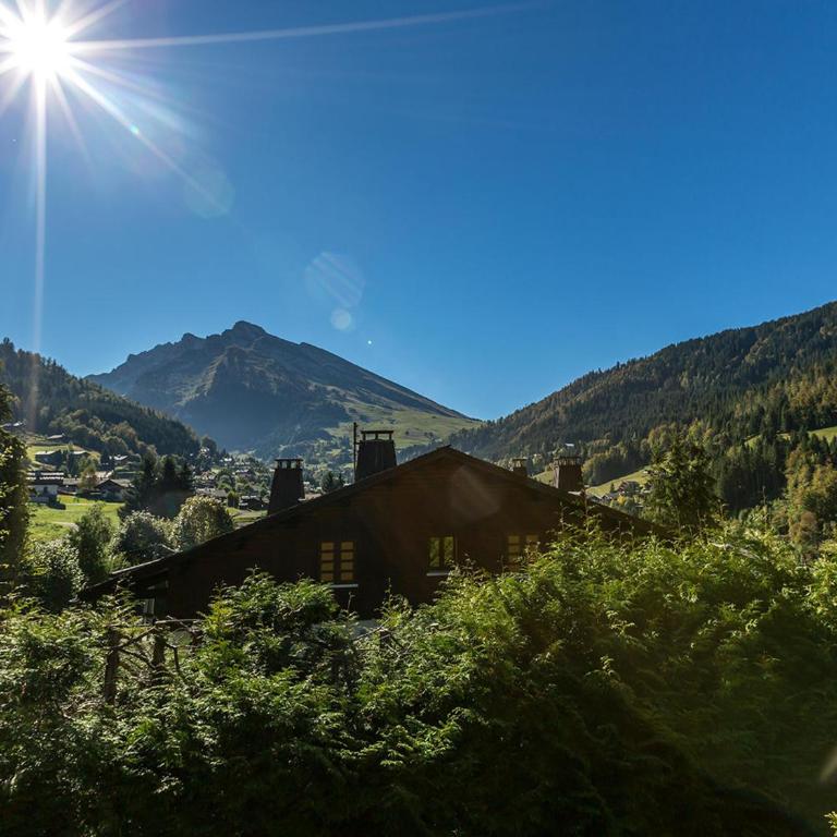 Duplex 2 chambres avec cheminée, garage et terrasse - La Clusaz, proche des pistes, WIFI inclus - FR-1-437-12 - Apartment (6 Adults) - 13