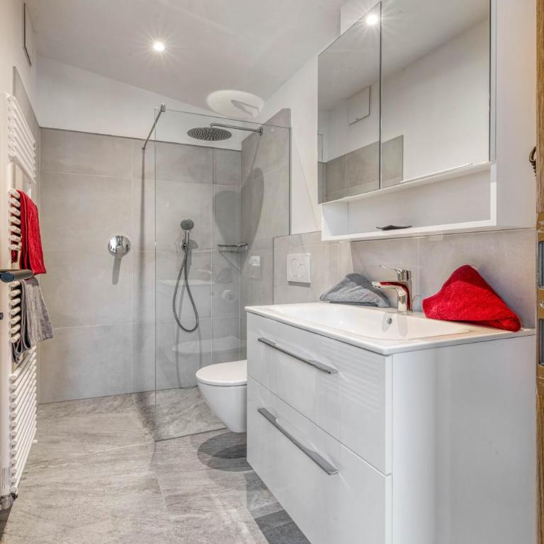 Garni Schmiedhof - Apartamento con vistas a las montañas - 5