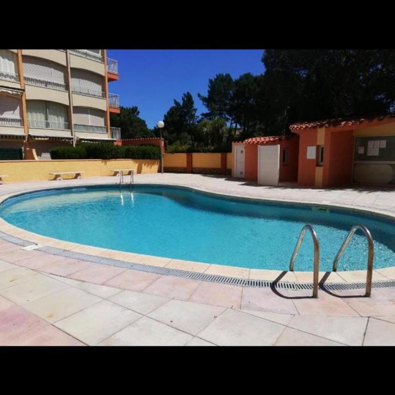 Studio Lunarya - Appartement 1 Chambre - 1