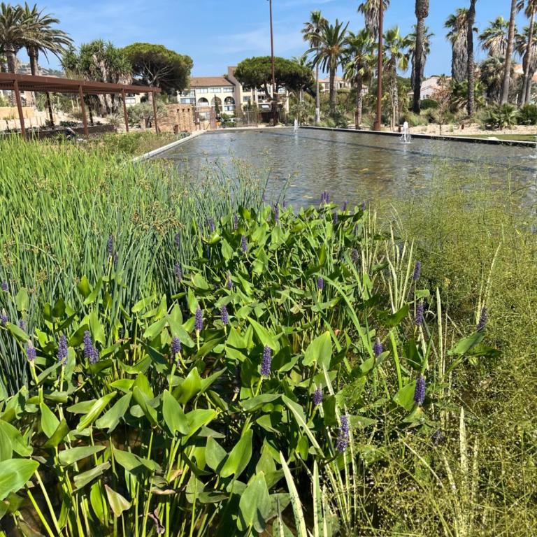 TOUT A PIED Dernier étage Vue imprenable EST-SUD OUEST mer -plage 100m-box - One-Bedroom Apartment - 24