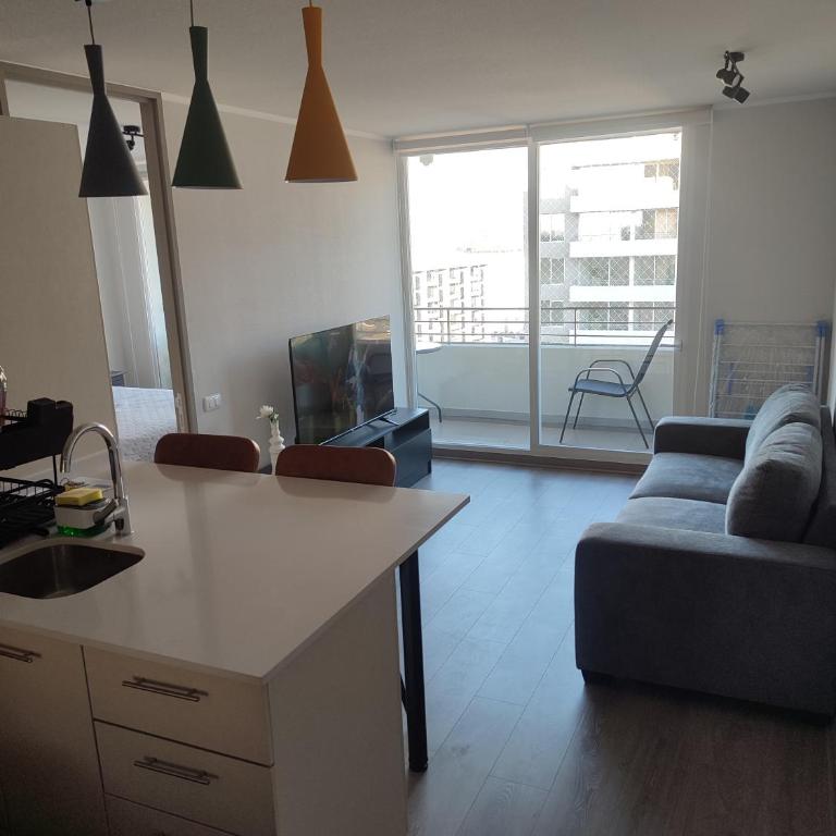 ViveSantiagoDepa - One-Bedroom Apartment - 7