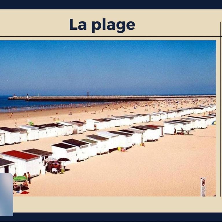 * Le Droma D’or * Appartement Confort * Centre-ville - Appartement 1 Chambre - 14