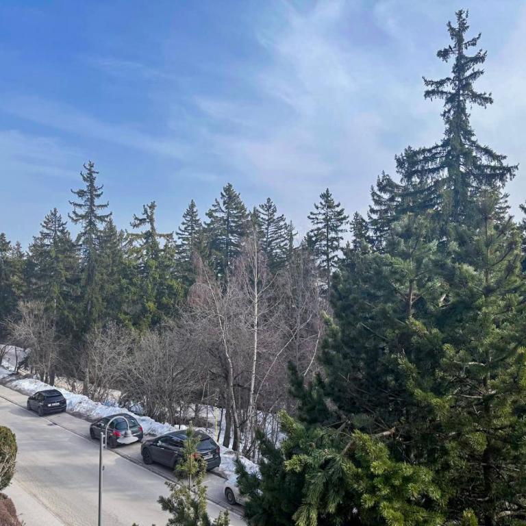 Crans Forest B - Two-Bedroom Apartment - 3