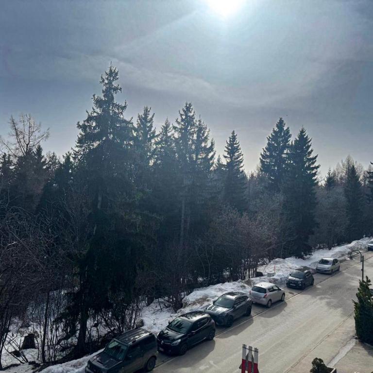 Crans Forest B - Two-Bedroom Apartment - 8