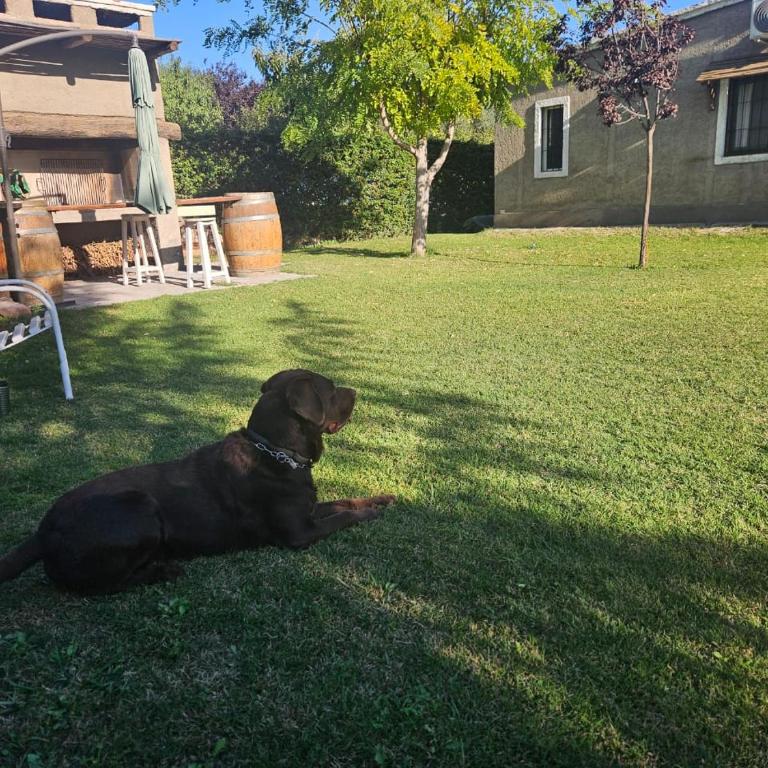 El descanso, zona de bodegas - Casa de 2 dormitorios - 3