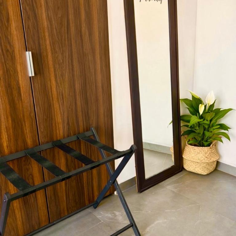 Departamento entero en San Ángel Ciudad de México - Apartamento de 1 dormitorio - 41