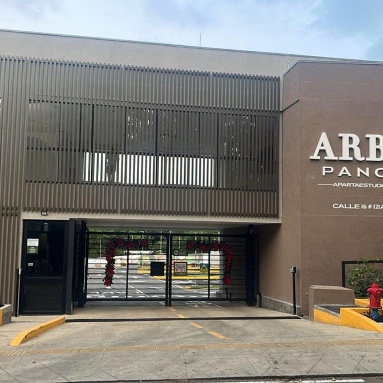 Experience the best of Cali in this cozy loft - One-Bedroom Apartment - 11