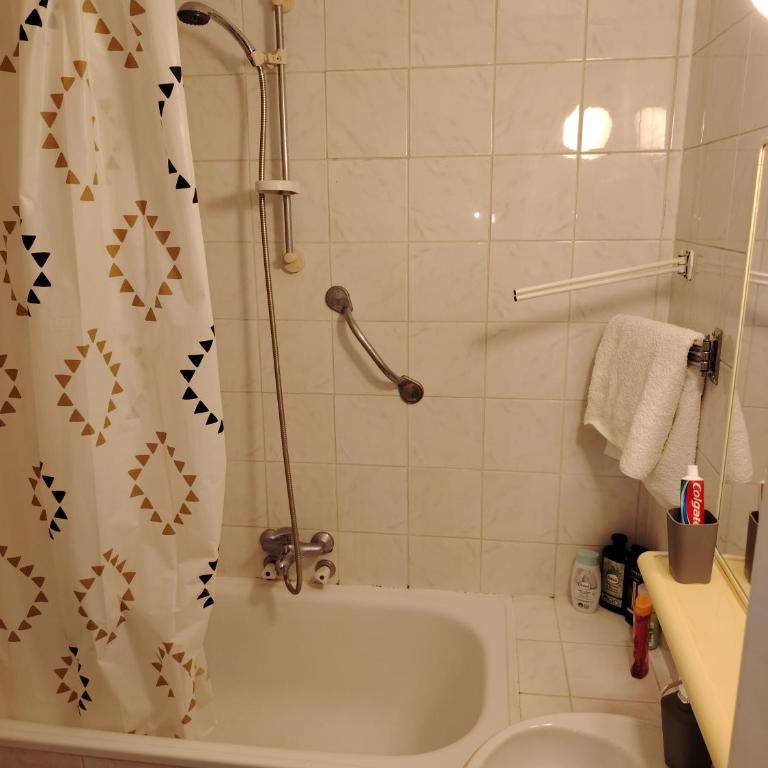 Yu business centar nbg - Apartman sa 1 Spavaćom Sobom - 2