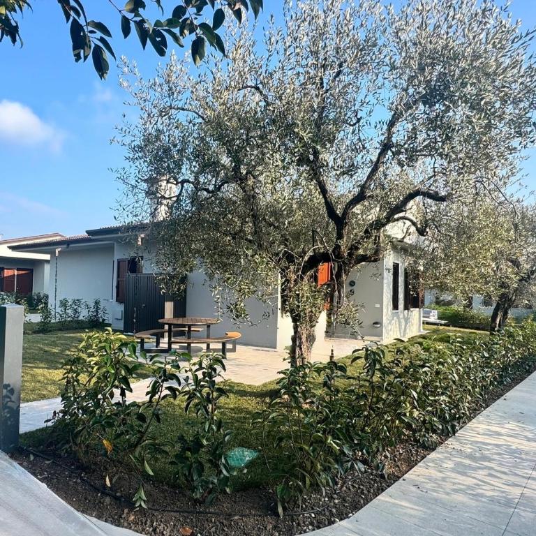 Bungalow Ville d'Oro - Casa con 2 Camere da Letto - 5