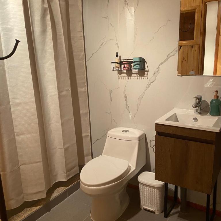 Hermoso Loft Amoblado Sector Oriente Talca - One-Bedroom Apartment - 3