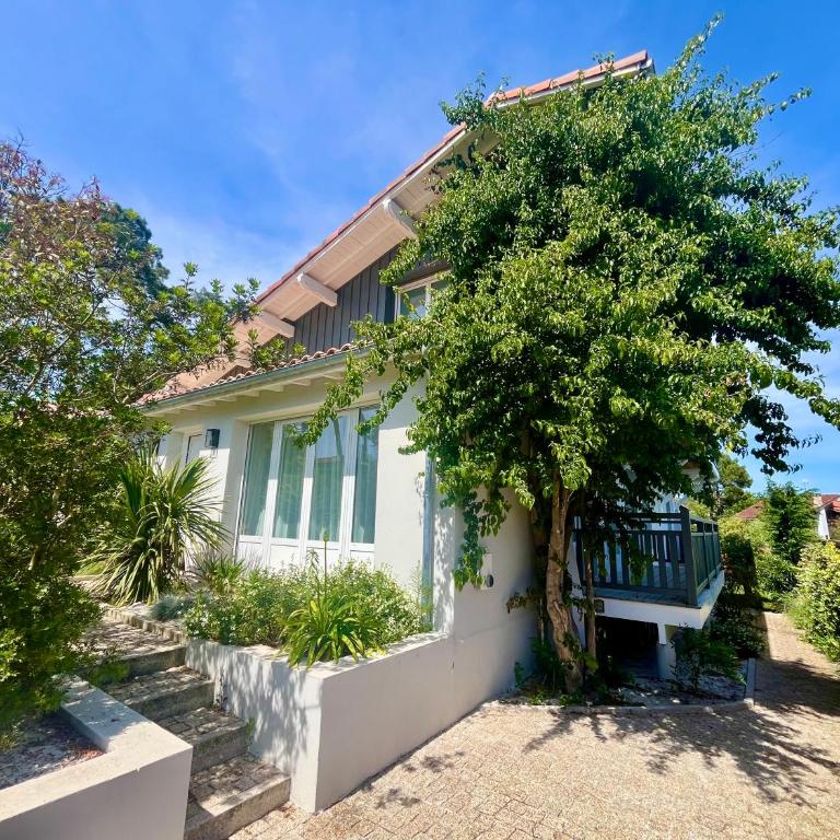 Villa Louis - Grand Piquey - Villa - 51