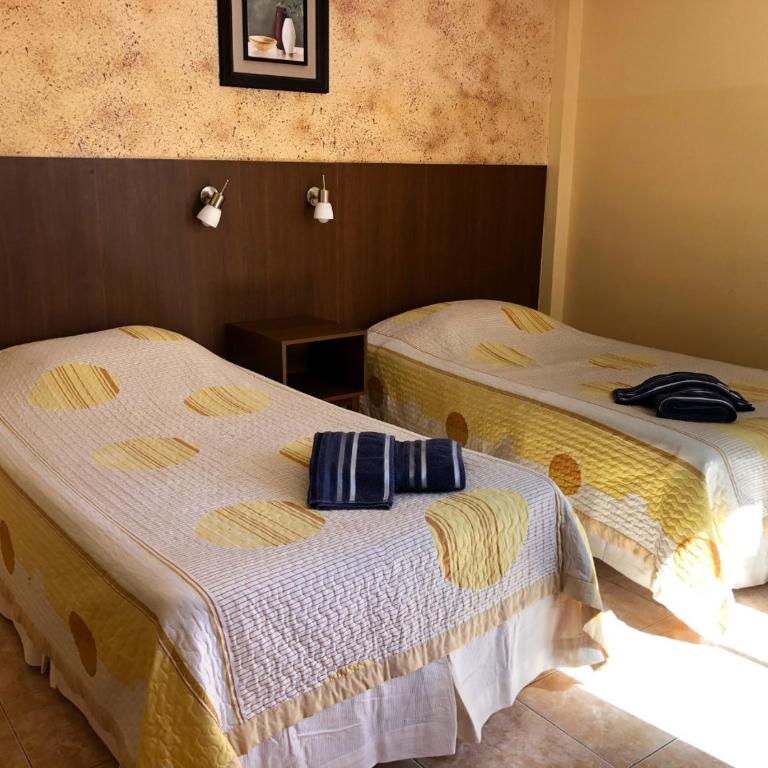 Hotel Mitru - Standard Twin Room - 3