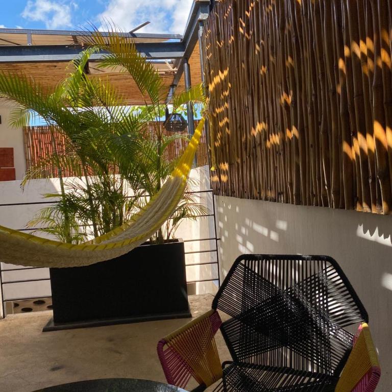 Latino Hotel Boutique - Suite Junior con terraza - 9