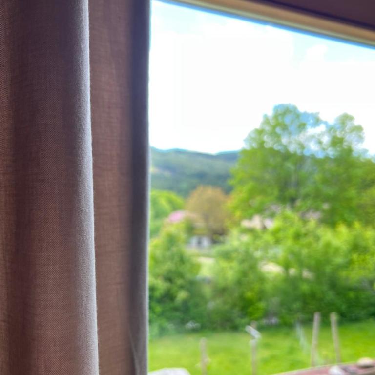 Gemütliche Ferienwohnung in Bodenmais I Sauna I Blick Silberberg - Apartment mit 1 Schlafzimmer und Gartenblick - 9