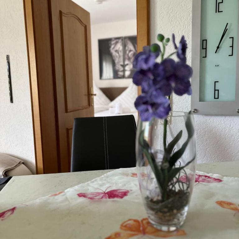 Gemütliche Ferienwohnung in Bodenmais I Sauna I Blick Silberberg - Apartment mit 1 Schlafzimmer und Gartenblick - 32