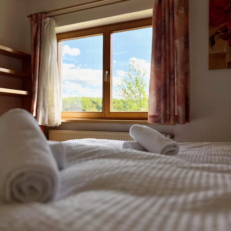 Gemütliche Ferienwohnung in Bodenmais I Sauna I Blick Silberberg - Apartment mit 1 Schlafzimmer und Gartenblick - 20