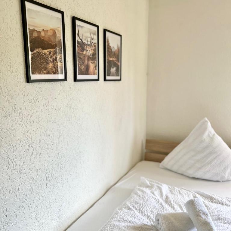 Gemütliche Ferienwohnung in Bodenmais I Sauna I Blick Silberberg - Apartment mit 1 Schlafzimmer und Gartenblick - 28