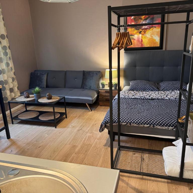 Studio Mulhouse - Apartment mit 1 Schlafzimmer - 4
