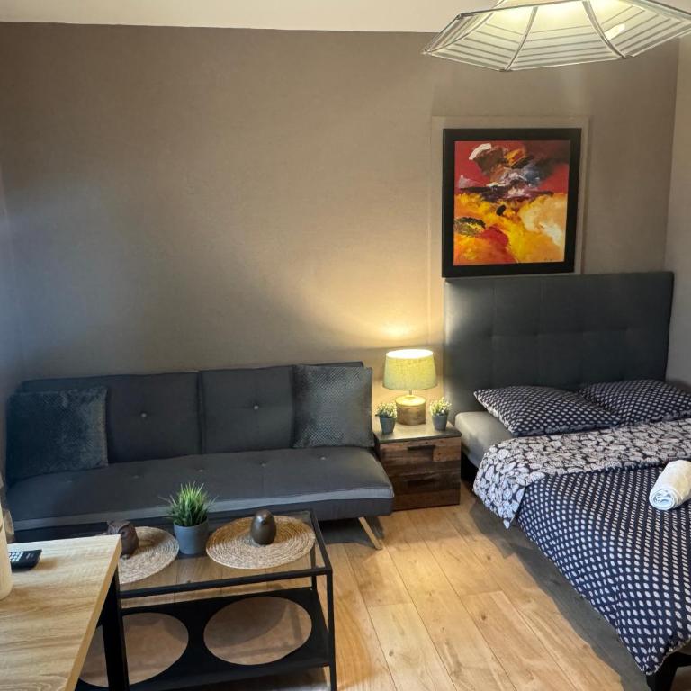 Studio Mulhouse - Apartment mit 1 Schlafzimmer - 3