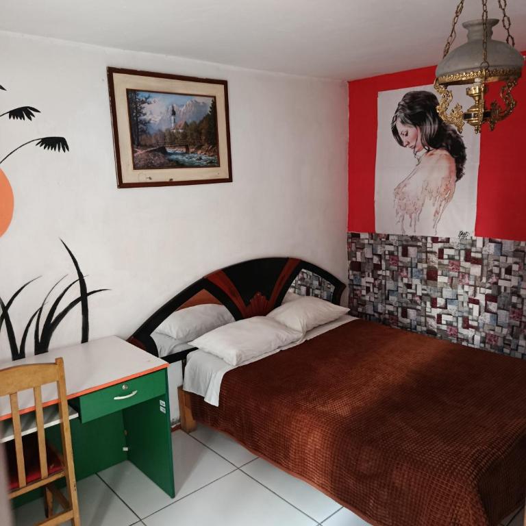 Hostel Viajeros Arequipa - Habitación Doble - 1