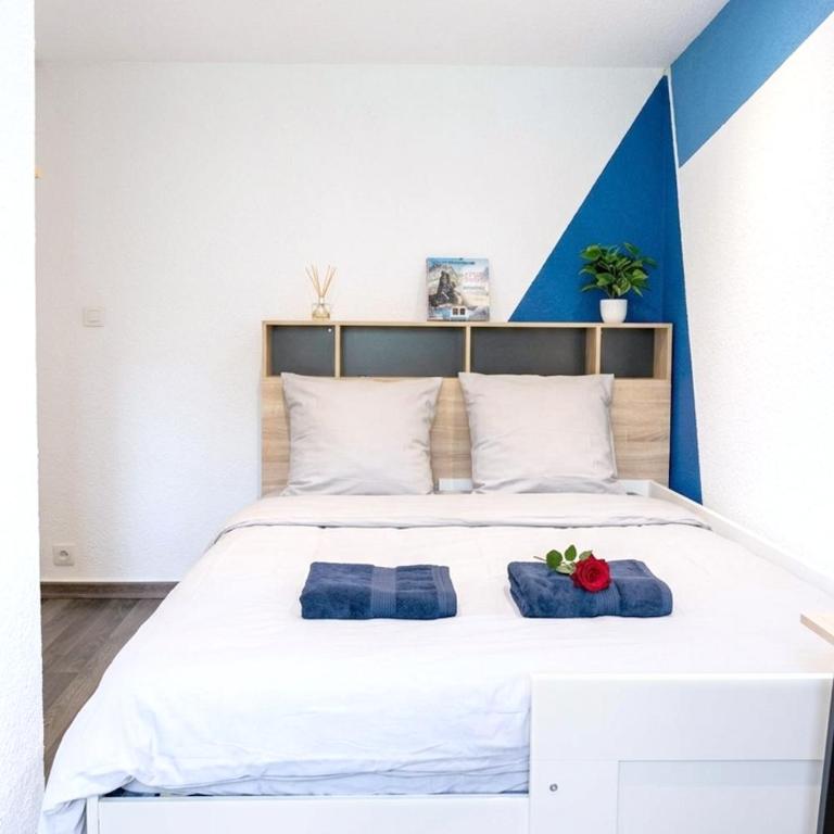 Appartement Cosy - Business & Détente - Lacs & Chartreuse - Proche A43 - Appartement 1 Chambre - 18