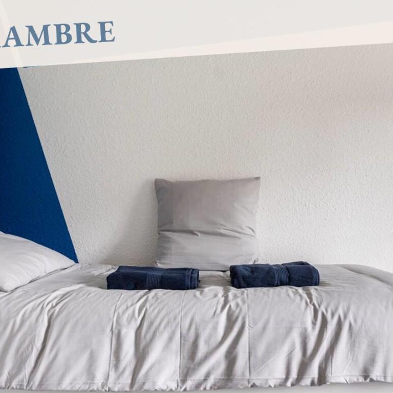 Appartement Cosy - Business & Détente - Lacs & Chartreuse - Proche A43 - Appartement 1 Chambre - 17