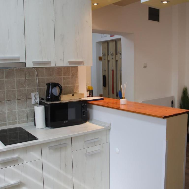 Apartment Slađana i Luna - One-Bedroom Apartment - 12