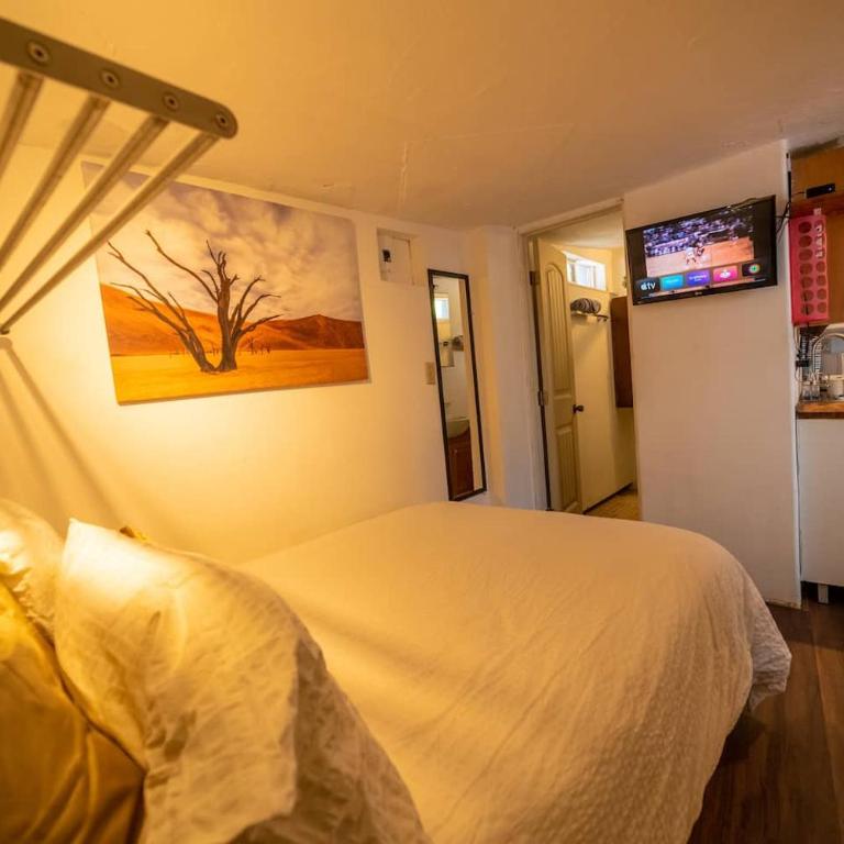 Stylish Apartment Upscale Chapultepec District - Studio Apartment - 15