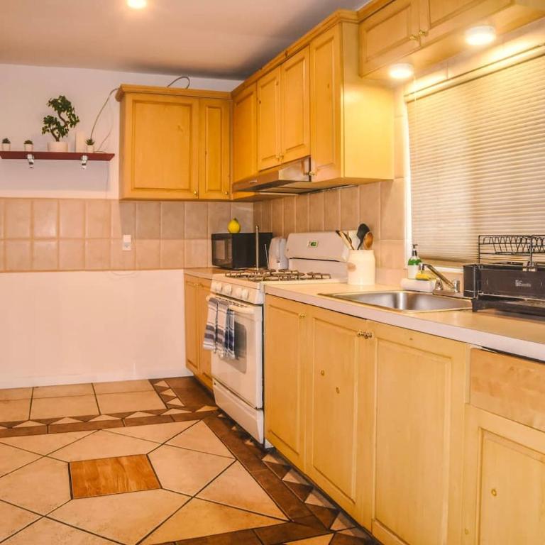 Stylish Apartment Upscale Chapultepec District - One-Bedroom Apartment with Garden View - 15