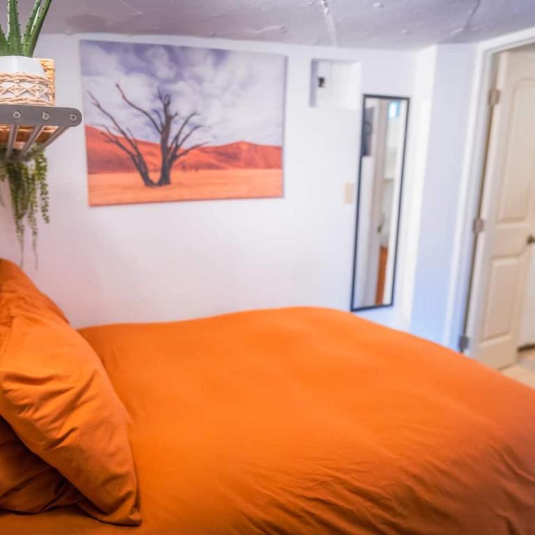 Stylish Apartment Upscale Chapultepec District - Studio Apartment - 9