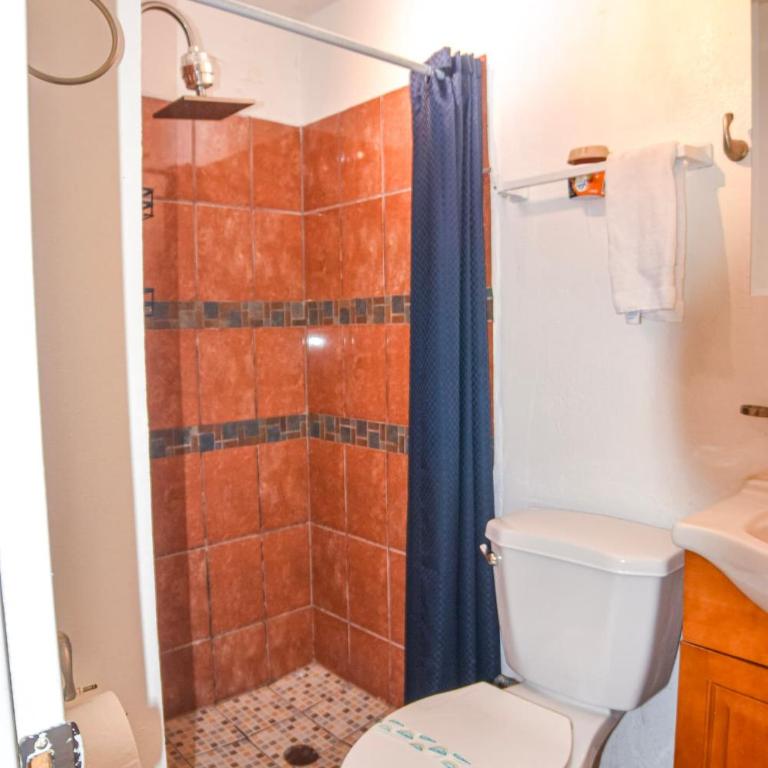 Stylish Apartment Upscale Chapultepec District - One-Bedroom Apartment with Balcony and City View - 7