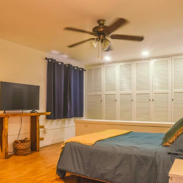 Stylish Apartment Upscale Chapultepec District - One-Bedroom Apartment with Garden View - 4