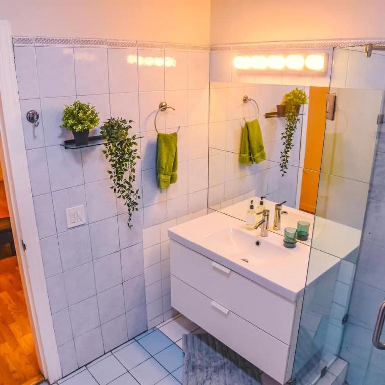 Stylish Apartment Upscale Chapultepec District - One-Bedroom Apartment with Garden View - 5