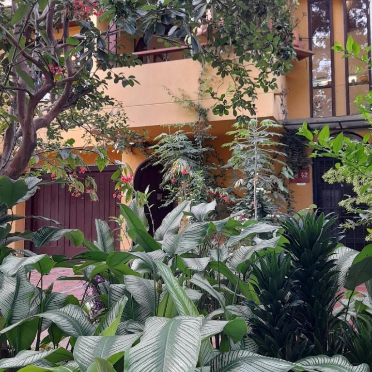 Laureles Estadio Studio Apartment to 8 people - Apartamento de 1 dormitorio - 5