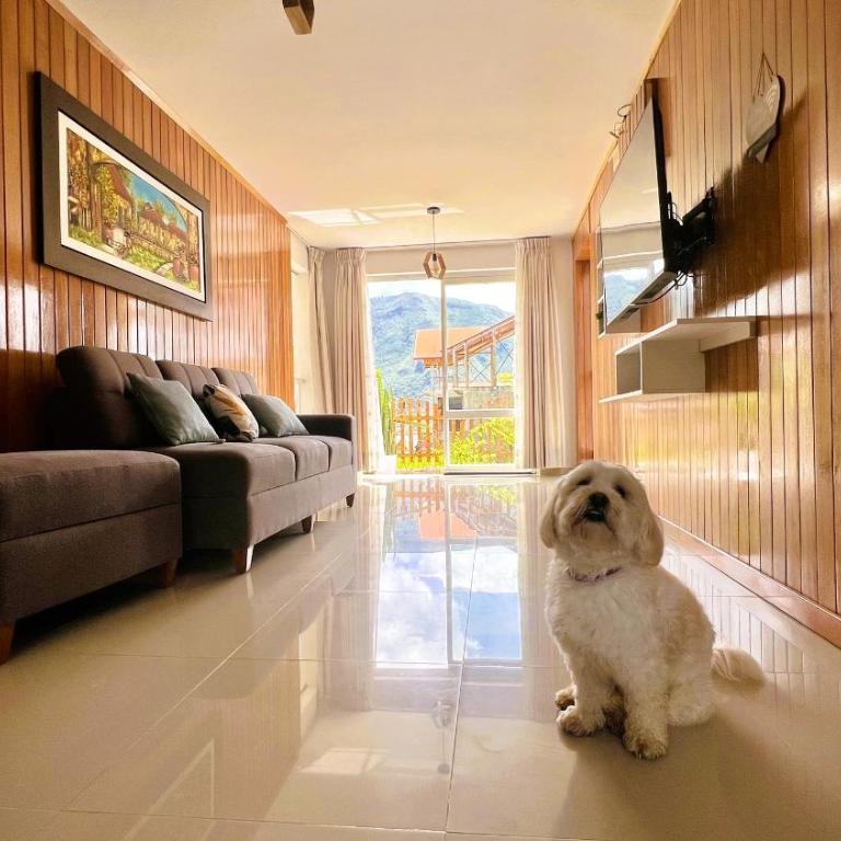 Colina Haus, hospedaje Oxapampa - Apartamento de 2 dormitorios - 19