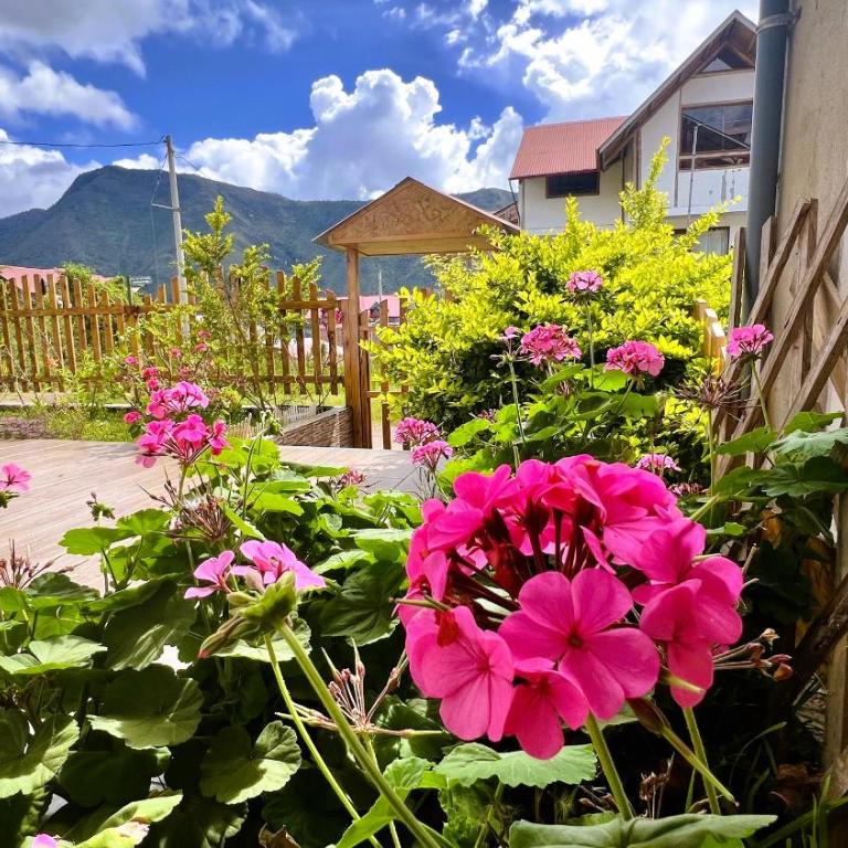 Colina Haus, hospedaje Oxapampa - Apartamento de 2 dormitorios - 16