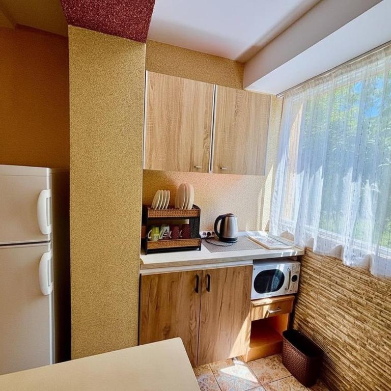 Apartments DS Club - Apartman sa Pogledom na Vrt - 5