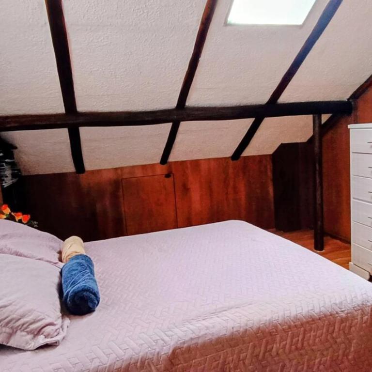 Country house overlooking the Andes - Casa de 4 dormitorios - 48