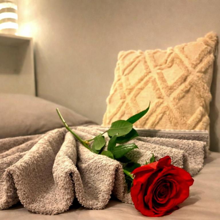 Bohemian Chic City Apartment - Munich Central Station - Appartamento con 1 Camera da Letto - 5