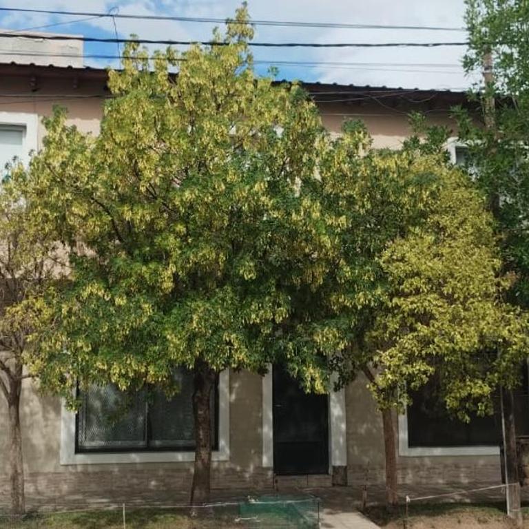 Quimey Ruca Alojamientos - One-Bedroom Apartment - 24